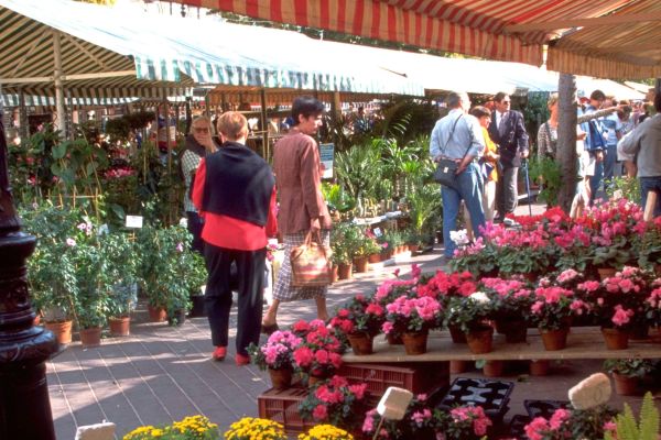 Hôtel Mercure Nice Marché aux Fleurs (Nizza)